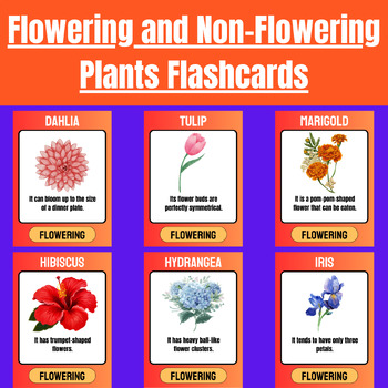 Flowering and Non-Flowering Plants Flashcards by Saadia Emporium