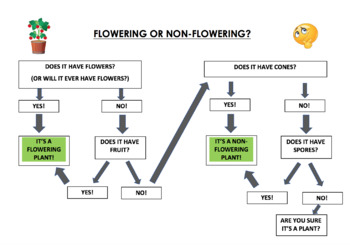 Preview of Flowering or Non-flowering Plant Flowchart