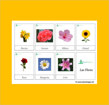 Preview of Flowers - 15 SPANISH Montessori cards