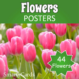 Flowers Posters