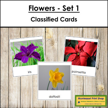 Flowers Montessori Object Match - Miniature flowers with Matching Card