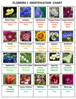 Flowers Bingo Volume 3 by Ah - Ha Lessons | TPT