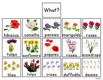 Flowers Building Sentences Activity for Spring, Summer and Mother`s Day