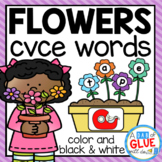 Flowers CVCE Word Building Activity