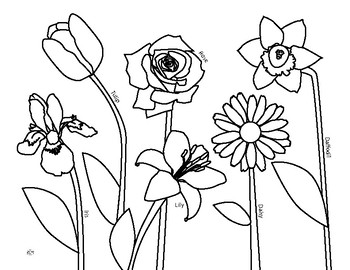 Flowers Coloring Page by Our Time to Learn | TPT