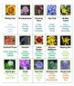 Flowers Concentration Volume 2 by Ah - Ha Lessons | TPT