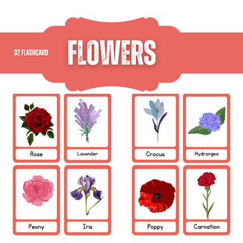 Preview of Flowers Flashcards , 32 Clipart , PDF And PPTX Files , Editable