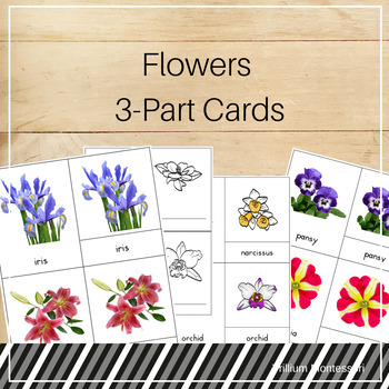 Preview of Flowers Montessori 3-Part Cards