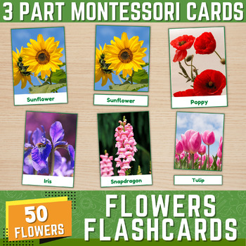 Preview of Flowers Montessori 3-Part Cards | Types of Flowers Flashcards with Real Pictures