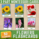 Flowers Montessori 3-Part Cards | Types of Flowers Flashca