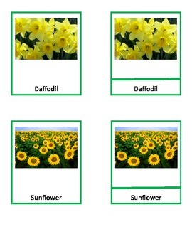 Flowers - Montessori 3 - Part cards by Little Monkey's Preschool