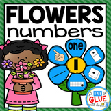 Flower Number Matching- Numbers to 20 Spring Math Center- 
