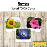 Flowers Safari TOOB Cards - Montessori