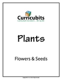 Flowers & Seeds | Theme: Plants | Scripted Afterschool Activity