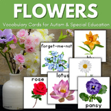 Flowers Vocabulary Cards Sped Autism Visuals Picture Flash