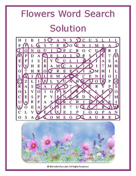 flowers word search puzzle by words are fun teachers pay teachers