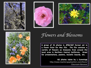 Preview of Flowers and Blossoms