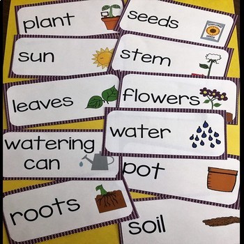 Flowers and Plants Vocabulary Word and Picture Cards by Little Learning ...