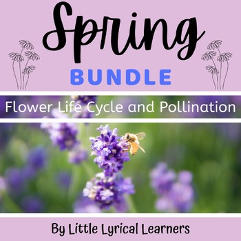 Preview of Flower Life Cycles and Pollination: Spring Resource BUNDLE