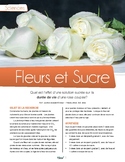 French text + activities + teacher's preparation:Flower an