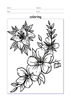 Preview of 7 sheets of  Flowers coloring Worksheets