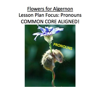 Preview of Flowers for Algernon Lesson Plan, Handouts, etc: Pronouns, nouns...