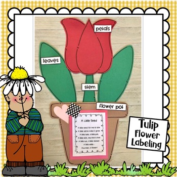 Mother's Day | Flower Pot Poem and Craft by Little Kinder Bears | TPT