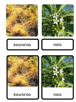 Preview of Flowers of Hawai'i 3 part cards in Hawaiian