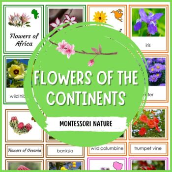 Preview of Flowers of the Continents 3 Part Cards Montessori