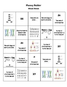 Preview of Fluency Builder: Mitosis Meiosis