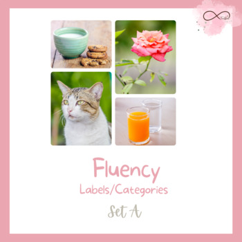 Preview of Fluency- Labels/Categories