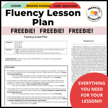 Preview of Fluency Lesson Plan FREEBIE with Reading Passage & Comprehension Questions