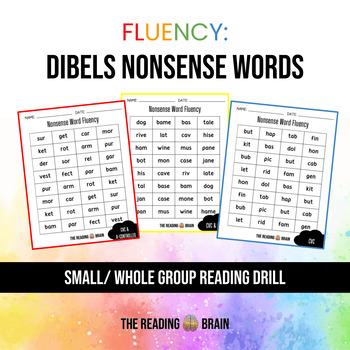 Preview of Fluency - Nonsense Words (DIBELS 2nd-5th Edition) Practice