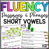 Decodable Fluency Passages and Phrases CVC and Pre-Primer 