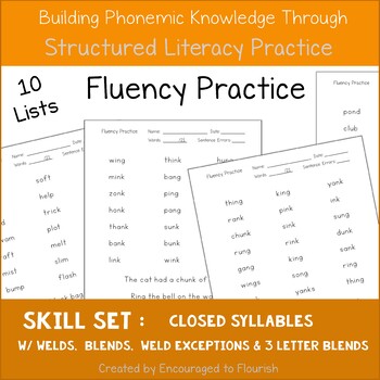 Preview of Fluency Practice - Closed Single Syllables with welds and blends