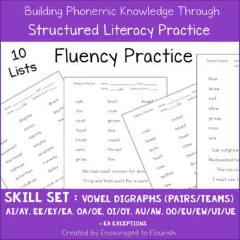 Preview of Fluency Practice - Focus on Vowel Digraphs ( Vowel Teams  or Vowel Pairs )