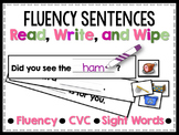 Fluency Sentences Read, Write, and Wipe Center (CVC)