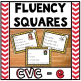 Fluency Squares Short E CVC words