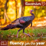 Fluency for the Year - November Packet