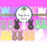 Fluffy Bunny Easter Clipart Elements