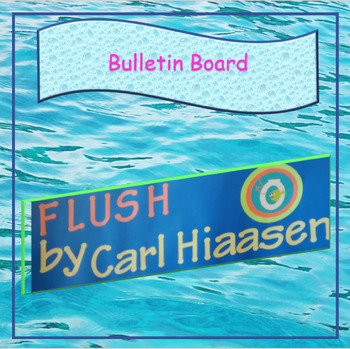 Preview of Flush Bulletin Board