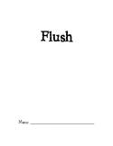 Flush by Carl Hiaasen Reading Guide