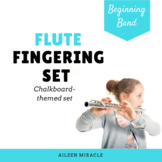 Flute Fingering Set