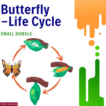 Preview of Fluttering Through Transformation: Butterfly Life Cycle Bundle