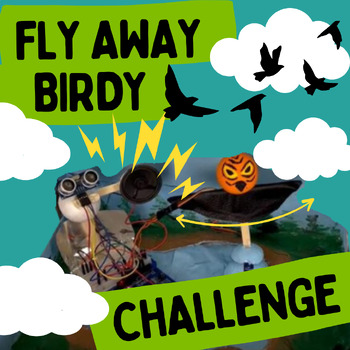 Preview of Fly Away Birdy Challenge