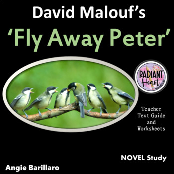 fly away peter chapter summaries