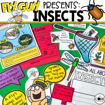 Preview of Fly Guy Insects Informational Lessons - Nonfiction Text Features, Comprehension