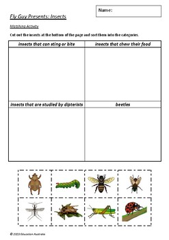 Fly Guy Presents: Insects by Tedd Arnold - 11 Worksheets by Education ...