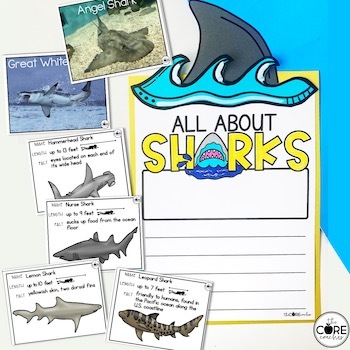 Fly Guy Sharks Informational Lessons - Nonfiction Text Features ...