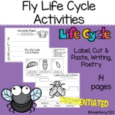 Fly Life Cycle Activities Mini Unit